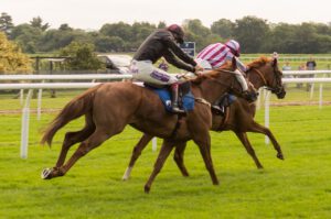 Horse Gallop Jockey Equestrian Mauris Gravida