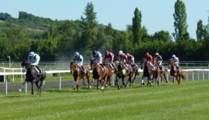 Mauris Gravida Horse Race Hippodrome