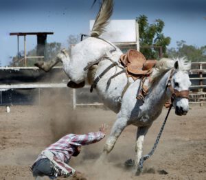 Horse Rider Failed in the Race Mauris Gravida